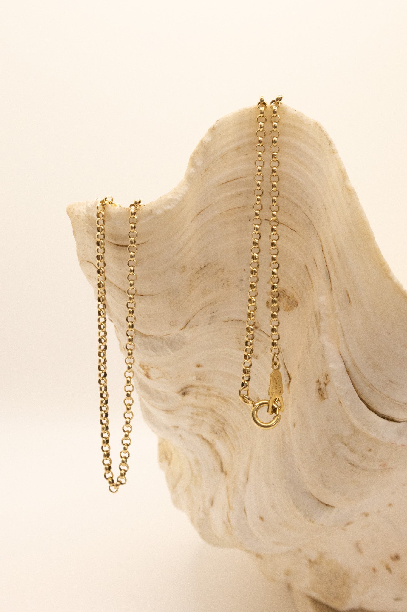 14ct Yellow Gold Fine Rolo Chain Necklace