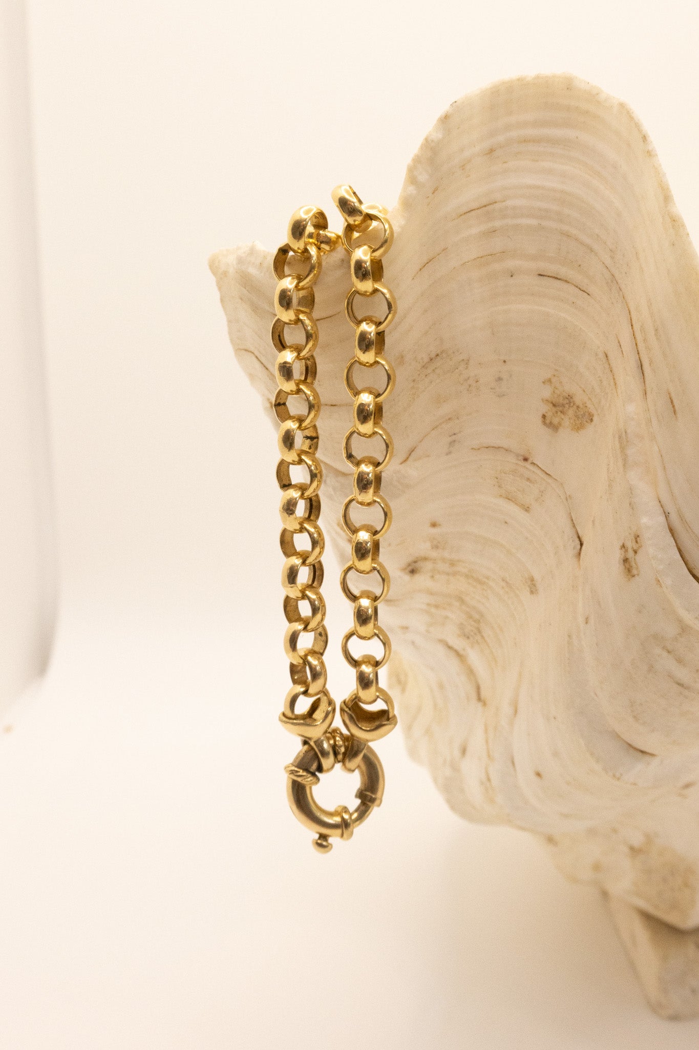 9ct Yellow Gold Rolo Chain