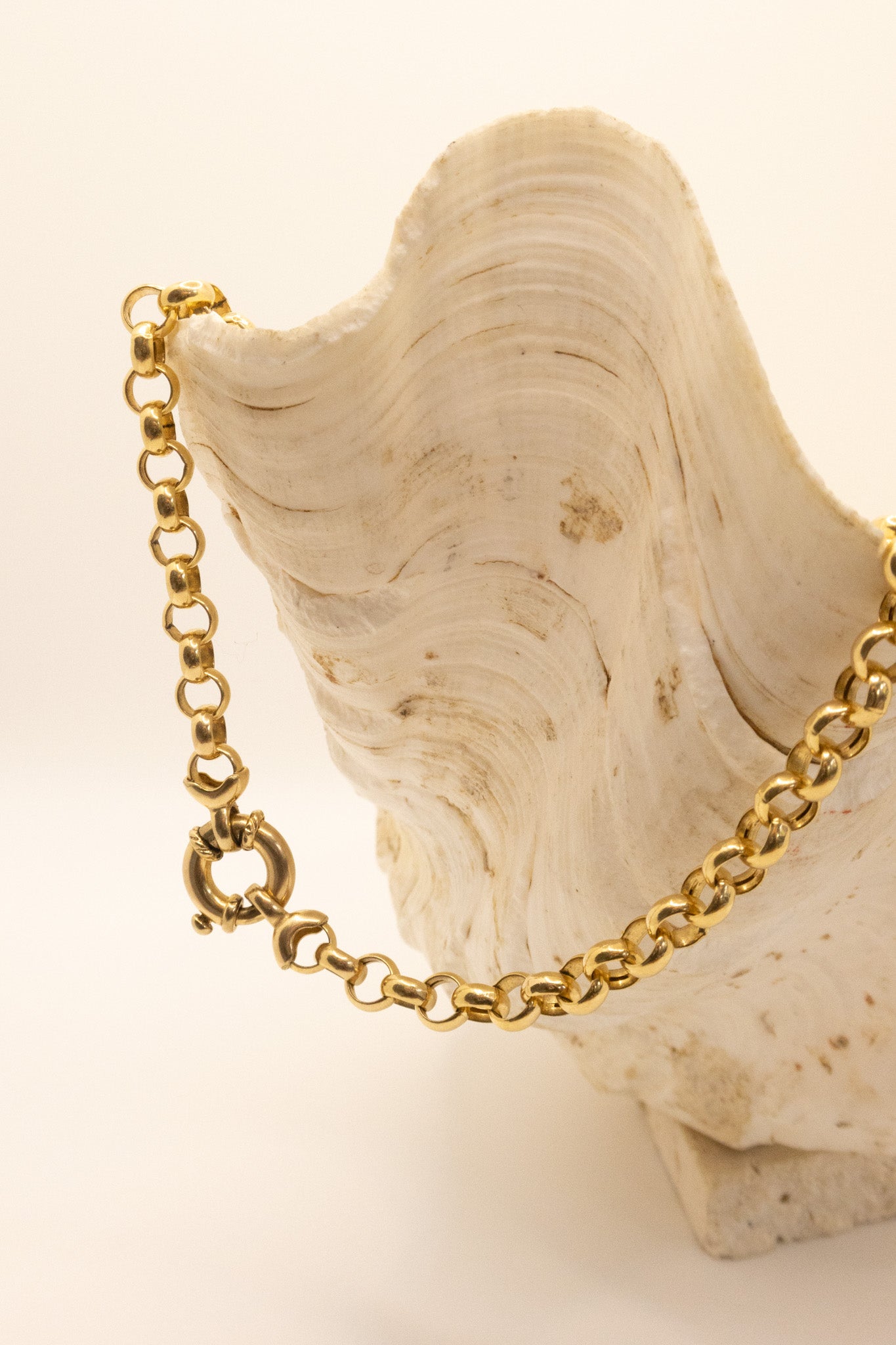 9ct Yellow Gold Rolo Chain